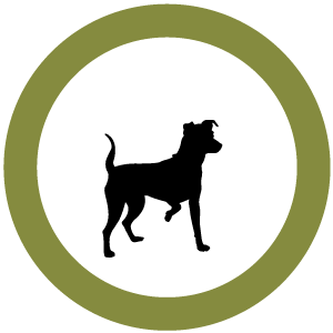 Fido allowed