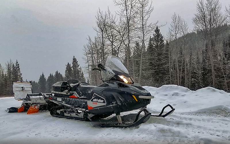 Grooming Equipment
