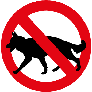 No Dogs